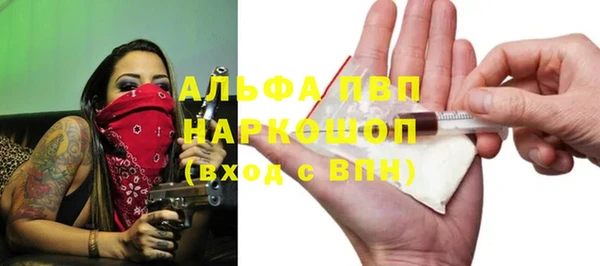 молекула духа Бородино