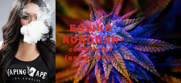 круглые Вязьма