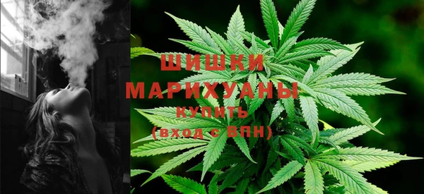 молекула духа Бородино