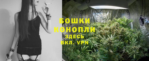apvp Верея