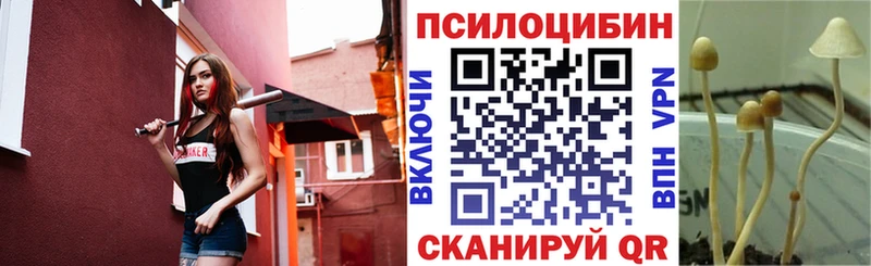 Псилоцибиновые грибы GOLDEN TEACHER  Купить закладки  Котлас 